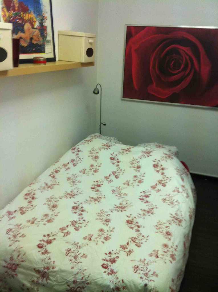 T2 2ème étage 34 m2 Toulouse Allée Jean Jaurés Hyper centre Métro A et B Jean Jaurés (738) - IMG_5039 - copie.jpg